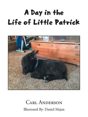 cover image of A Day in the Life of Little Patrick